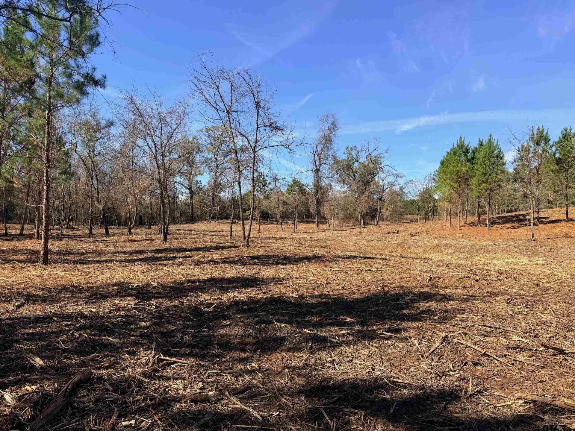6.82 acres in Smith County - photo 3