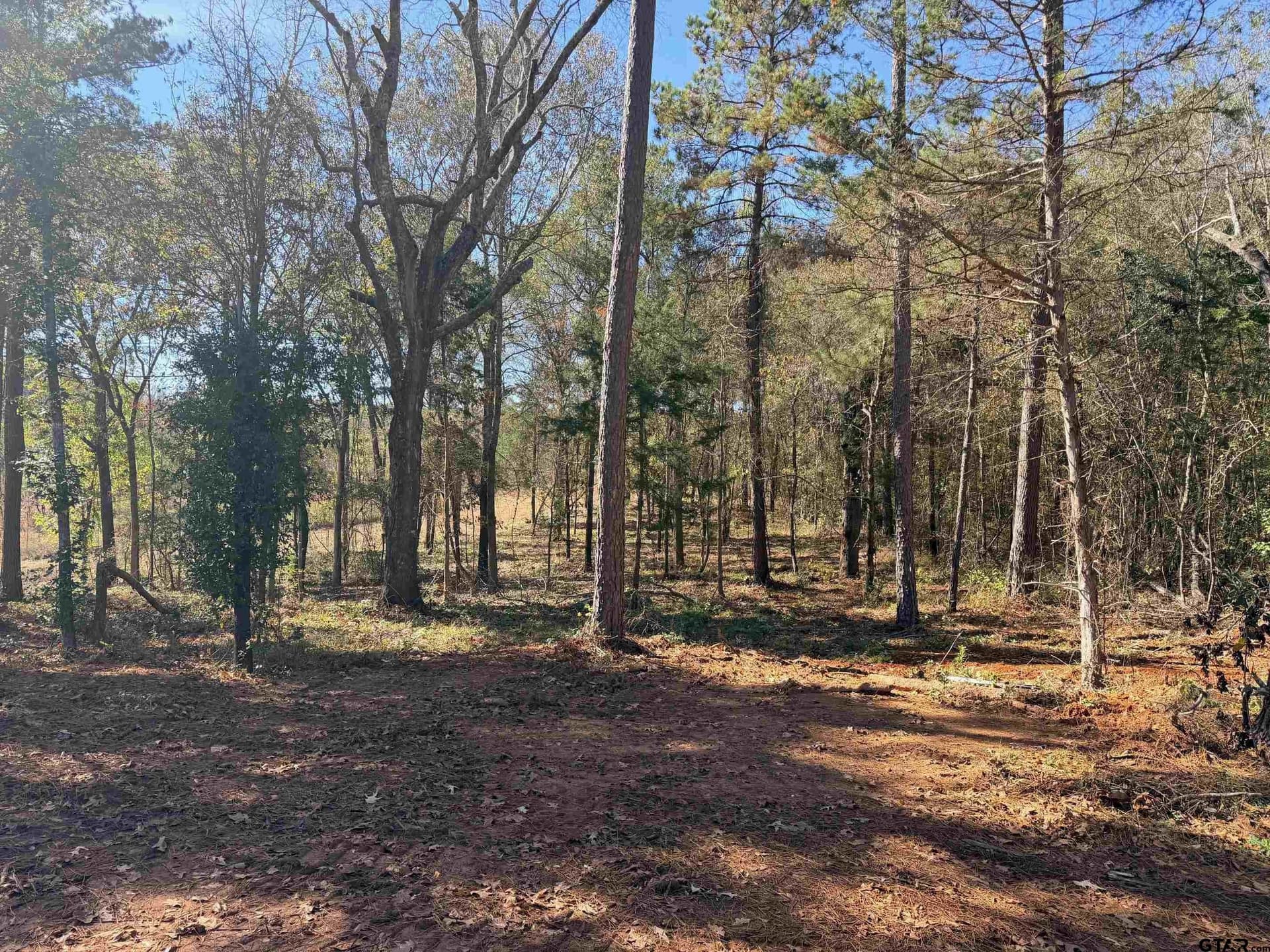 6.82 acres in Smith County - photo 4