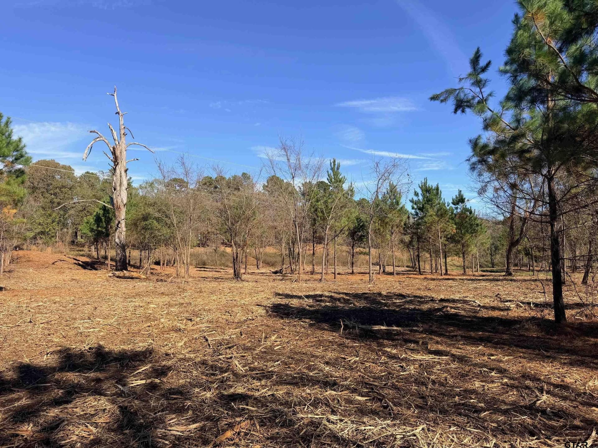 6.82 acres in Smith County - photo 2