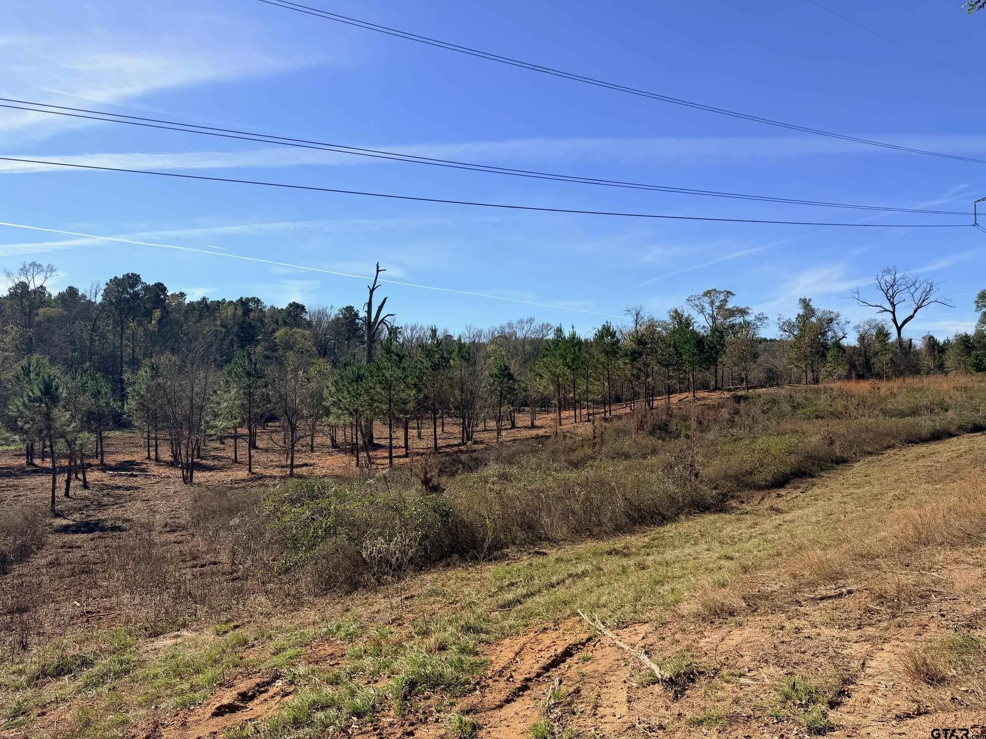 6.82 acres in Smith County - photo 6