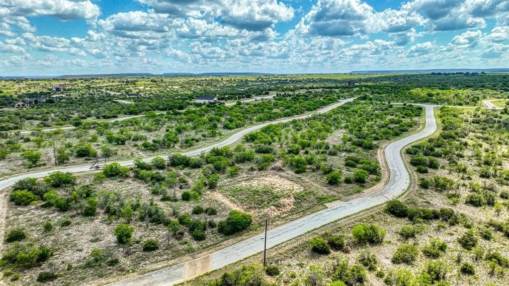 0.22 acres in Palo Pinto County - photo 7