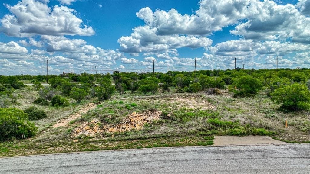 0.22 acres in Palo Pinto County - photo 8