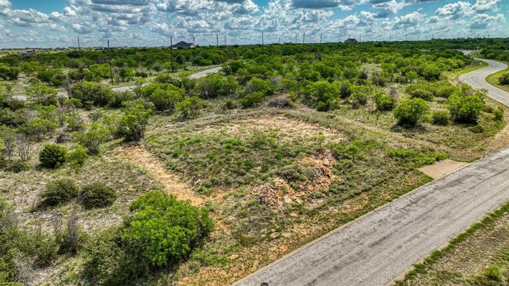 0.22 acres in Palo Pinto County - photo 4