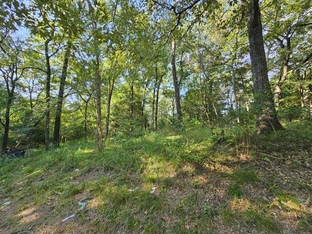 8 acres in ANDERSON County - photo 13