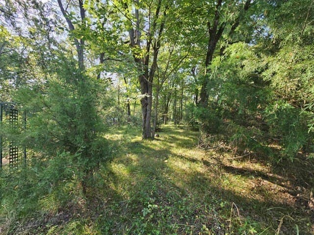 8 acres in ANDERSON County - photo 7
