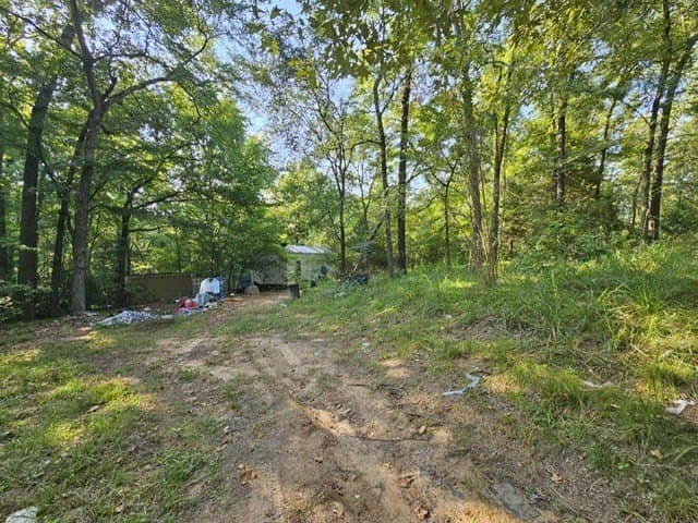8 acres in ANDERSON County - photo 5