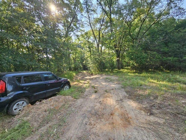 8 acres in ANDERSON County - photo 9