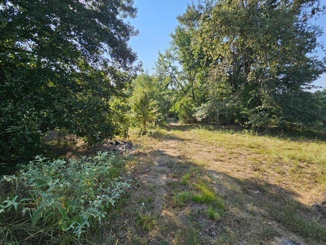 8 acres in ANDERSON County - photo 12