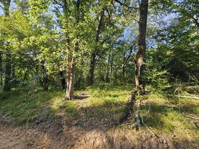 8 acres in ANDERSON County - photo 4