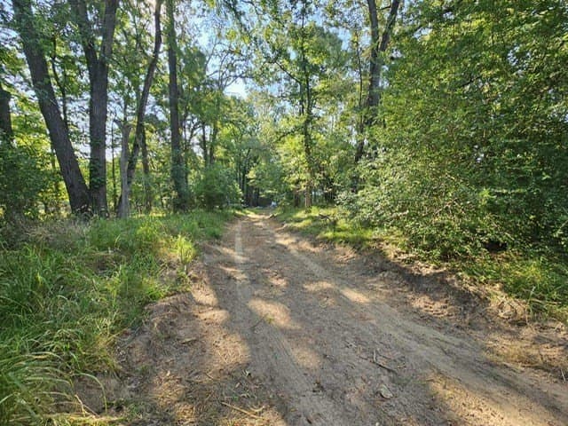 8 acres in ANDERSON County - photo 6