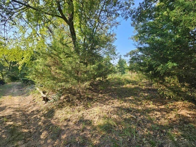 8 acres in ANDERSON County - photo 2
