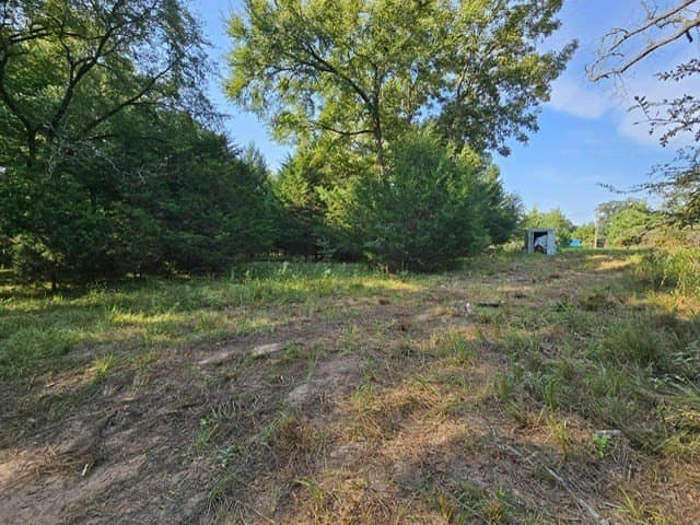 8 acres in ANDERSON County - photo 11