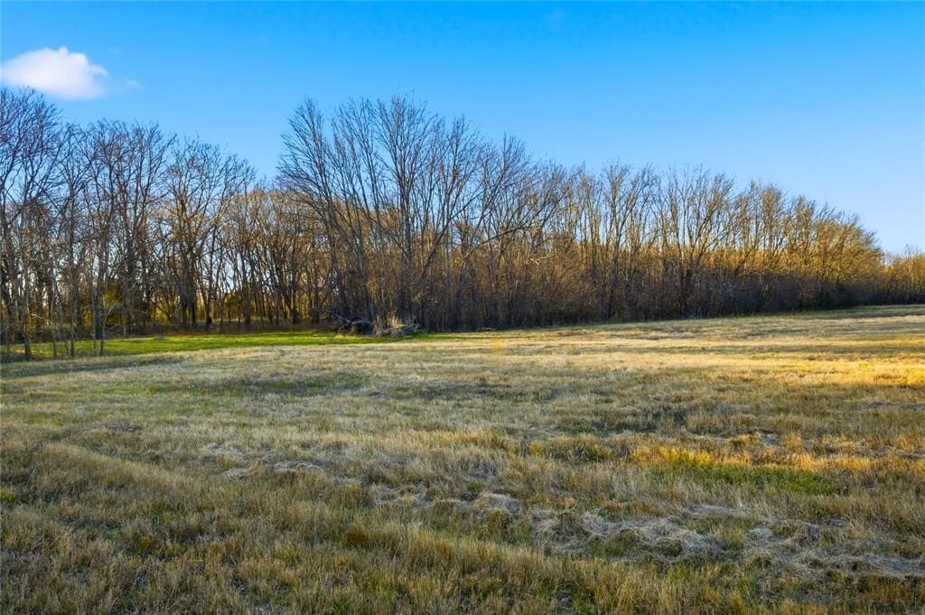 42.33 acres in Lamar County - photo 33