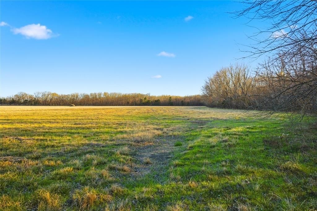 42.33 acres in Lamar County - photo 31