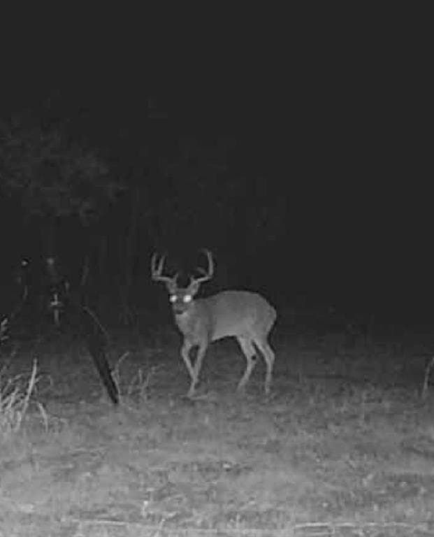 42.33 acres in Lamar County - photo 38