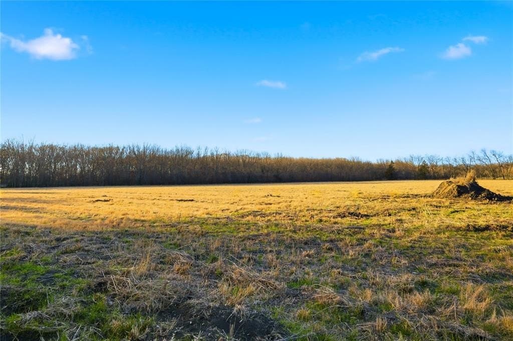 42.33 acres in Lamar County - photo 34