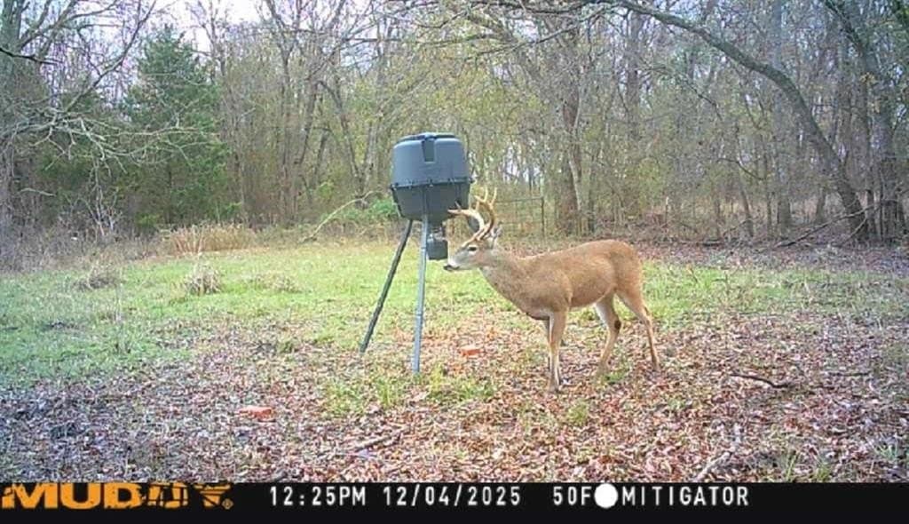 42.33 acres in Lamar County - photo 40