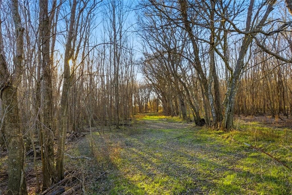 42.33 acres in Lamar County - photo 37