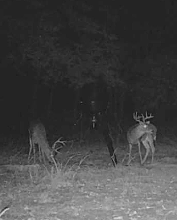 42.33 acres in Lamar County - photo 39