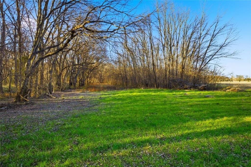 42.33 acres in Lamar County - photo 35