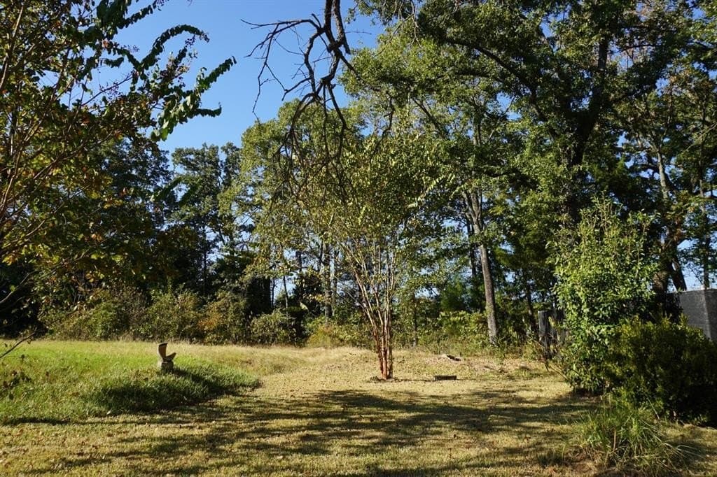 0.25 acres in Henderson County - photo 10