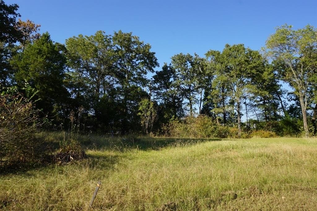 0.25 acres in Henderson County - photo 5