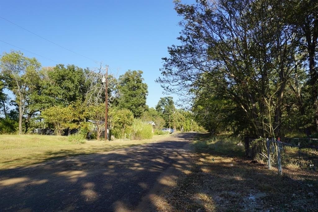 0.25 acres in Henderson County - photo 2