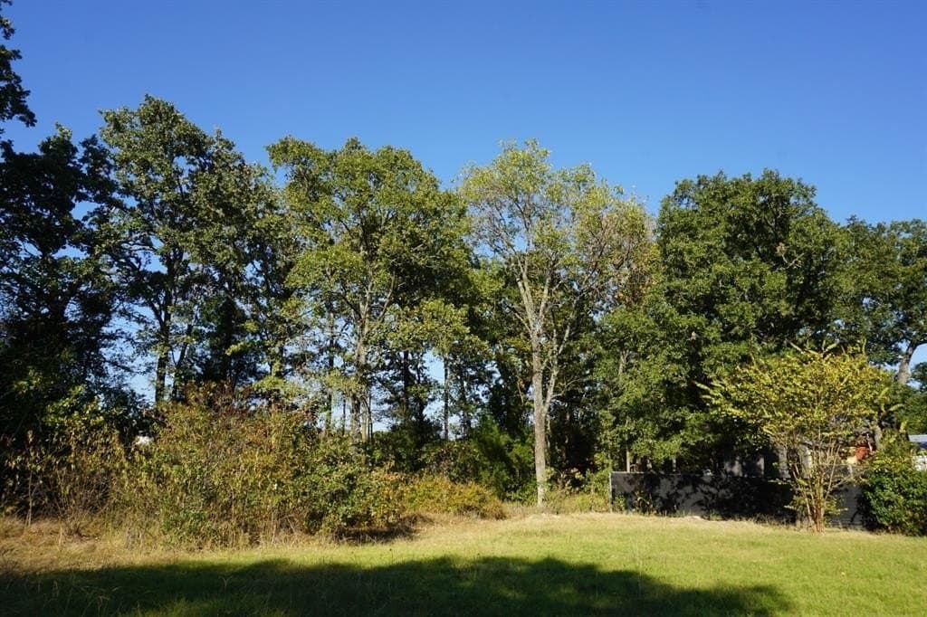 0.25 acres in Henderson County - photo 16