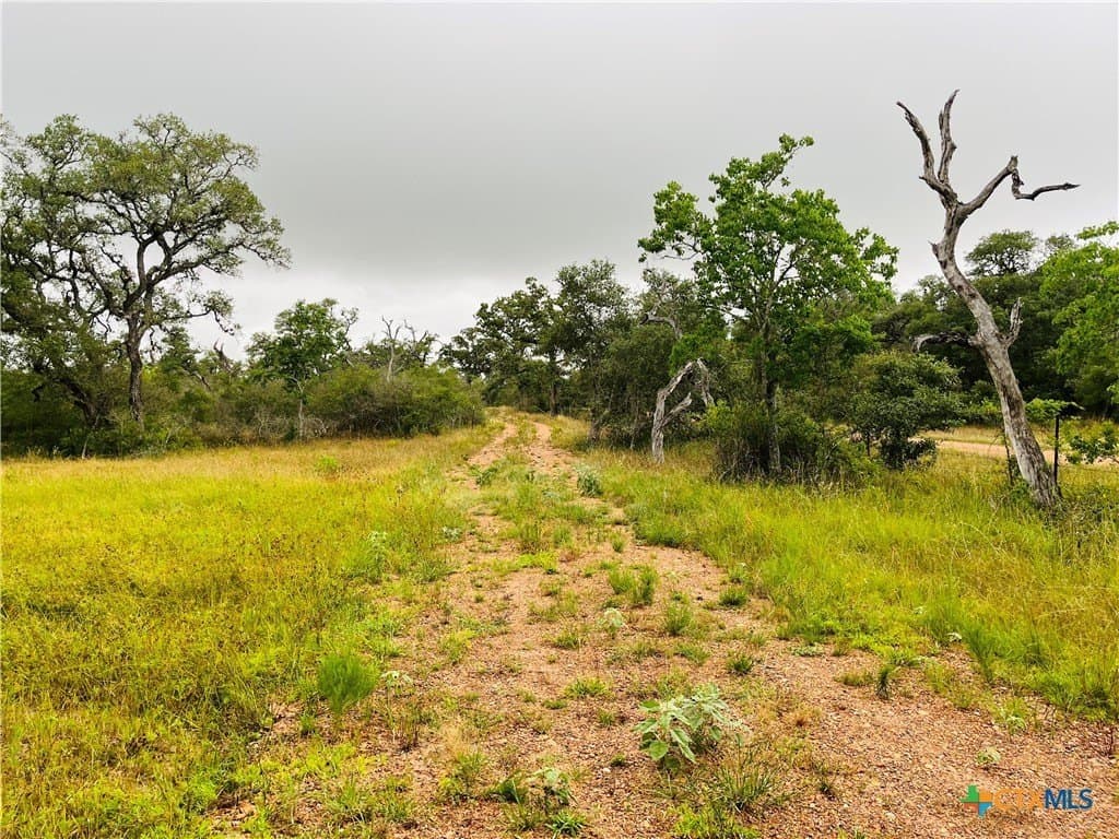 23 acres in DeWitt County - photo 2