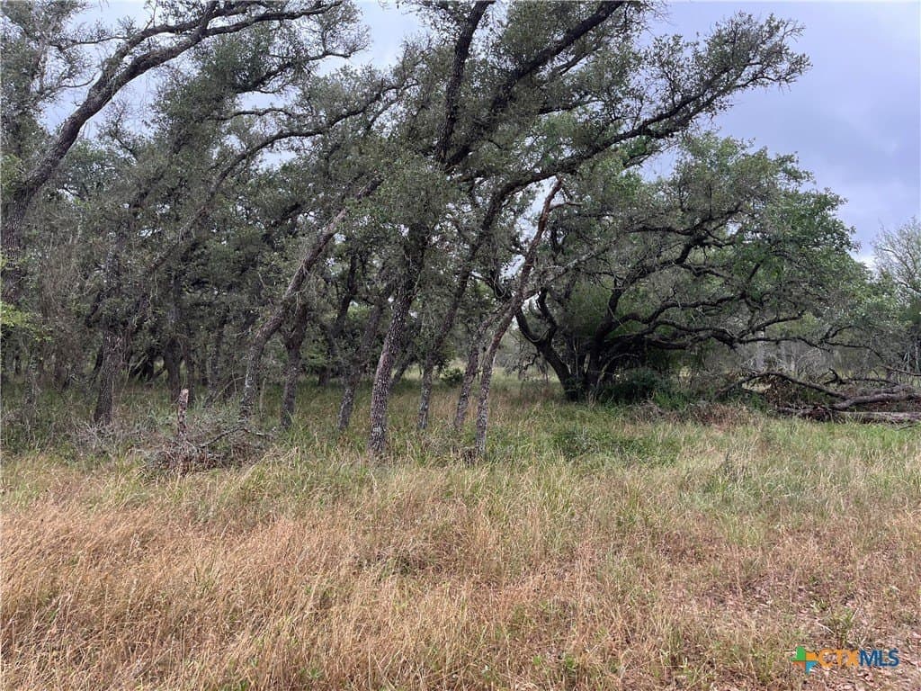 23 acres in DeWitt County - photo 4