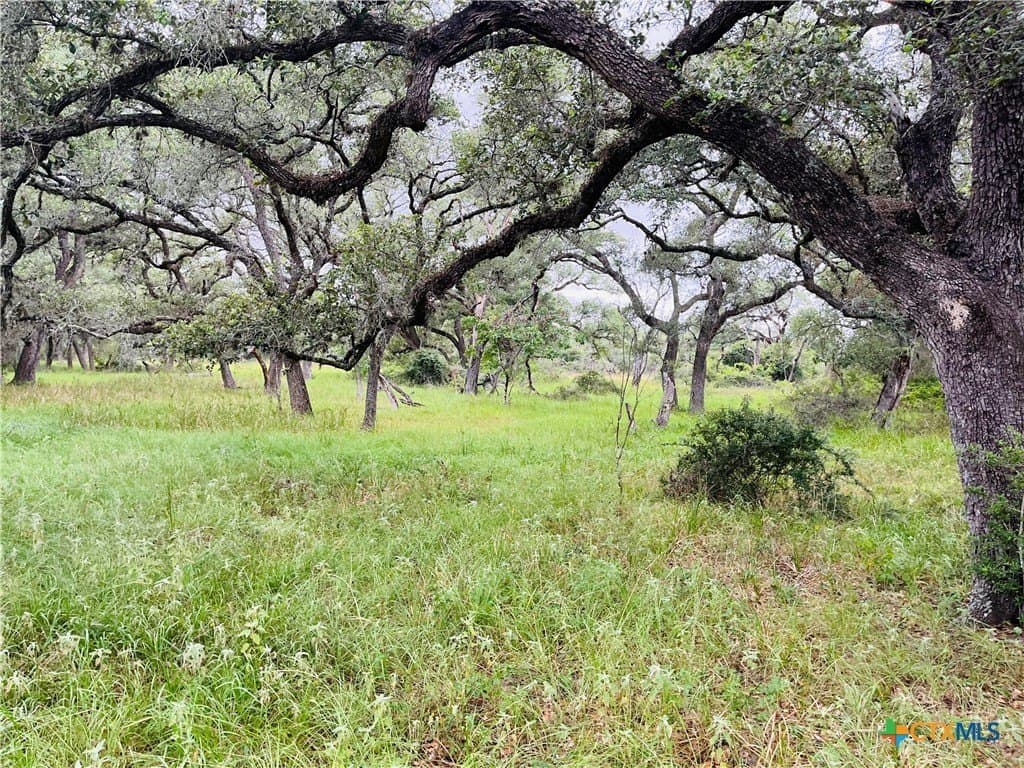 23 acres in DeWitt County - photo 3
