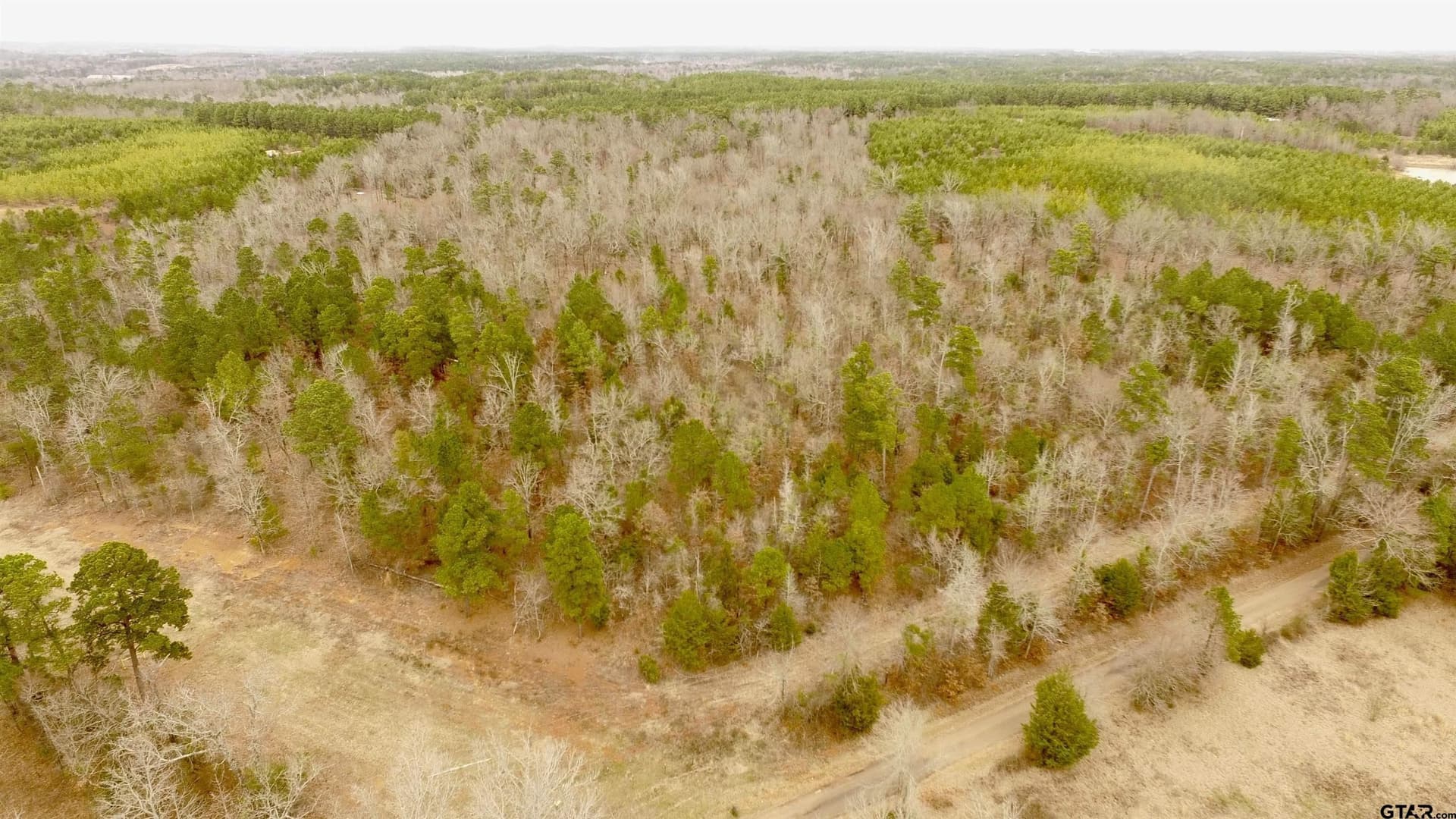 15 acres in Morris County - photo 2