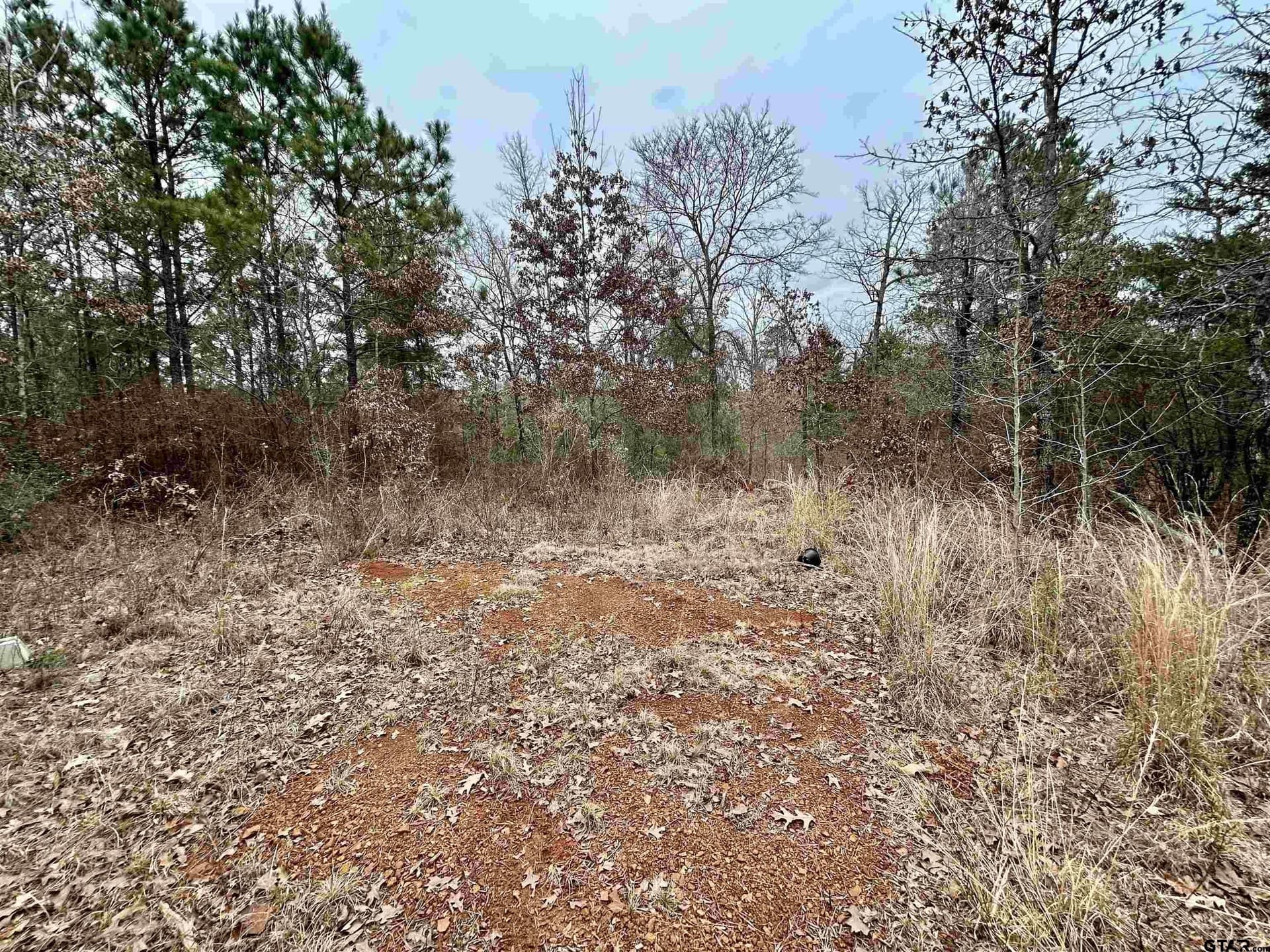 15 acres in Morris County - photo 6