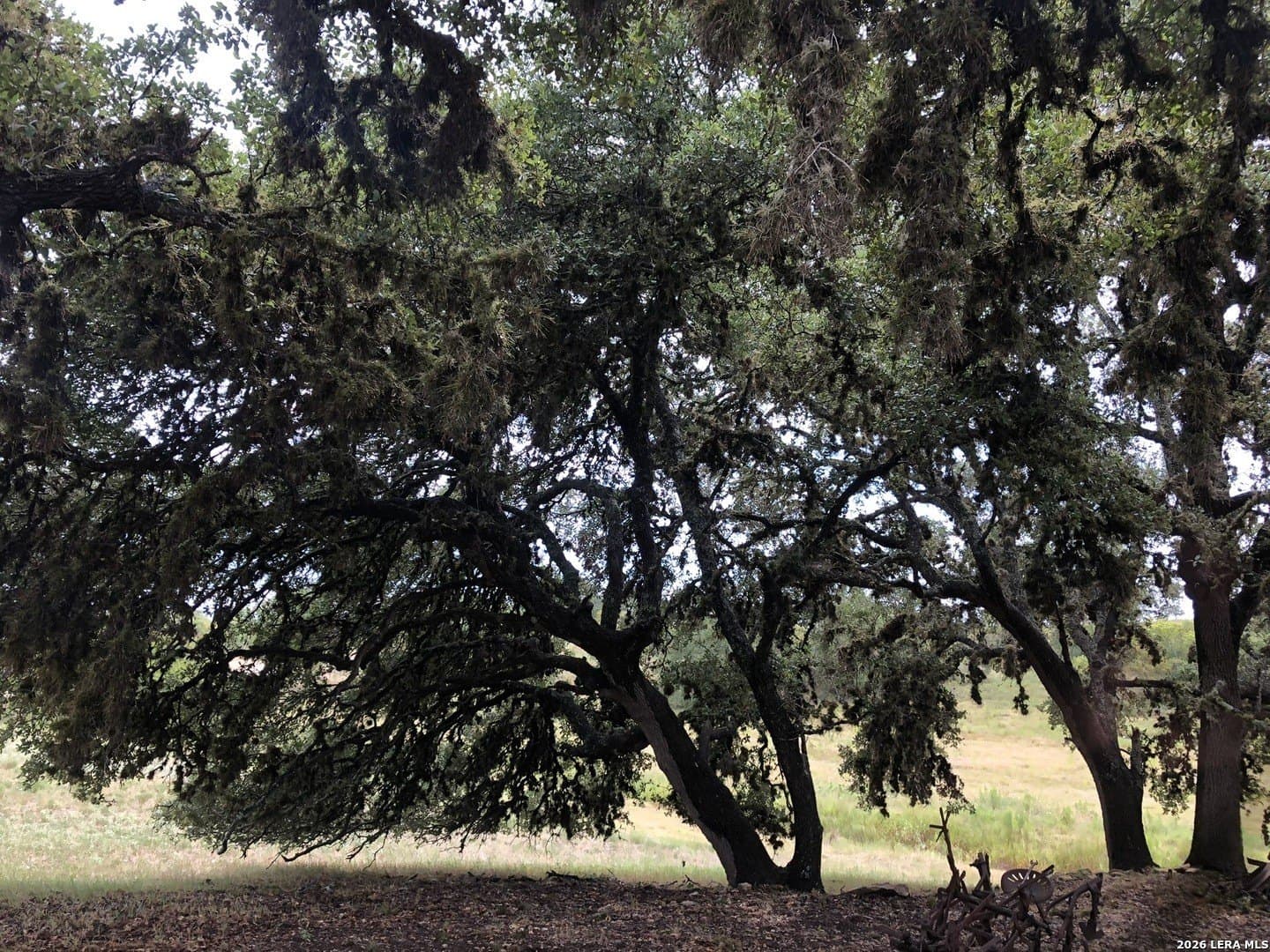 5.56 acres in Blanco County - photo 8