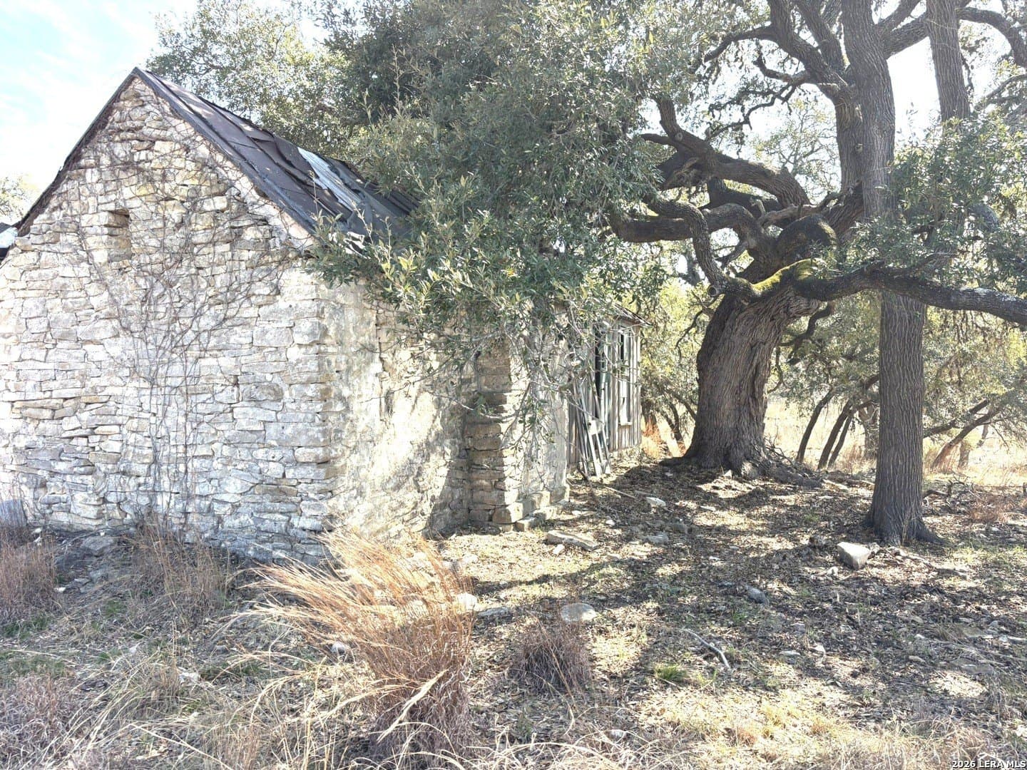 5.56 acres in Blanco County - photo 5