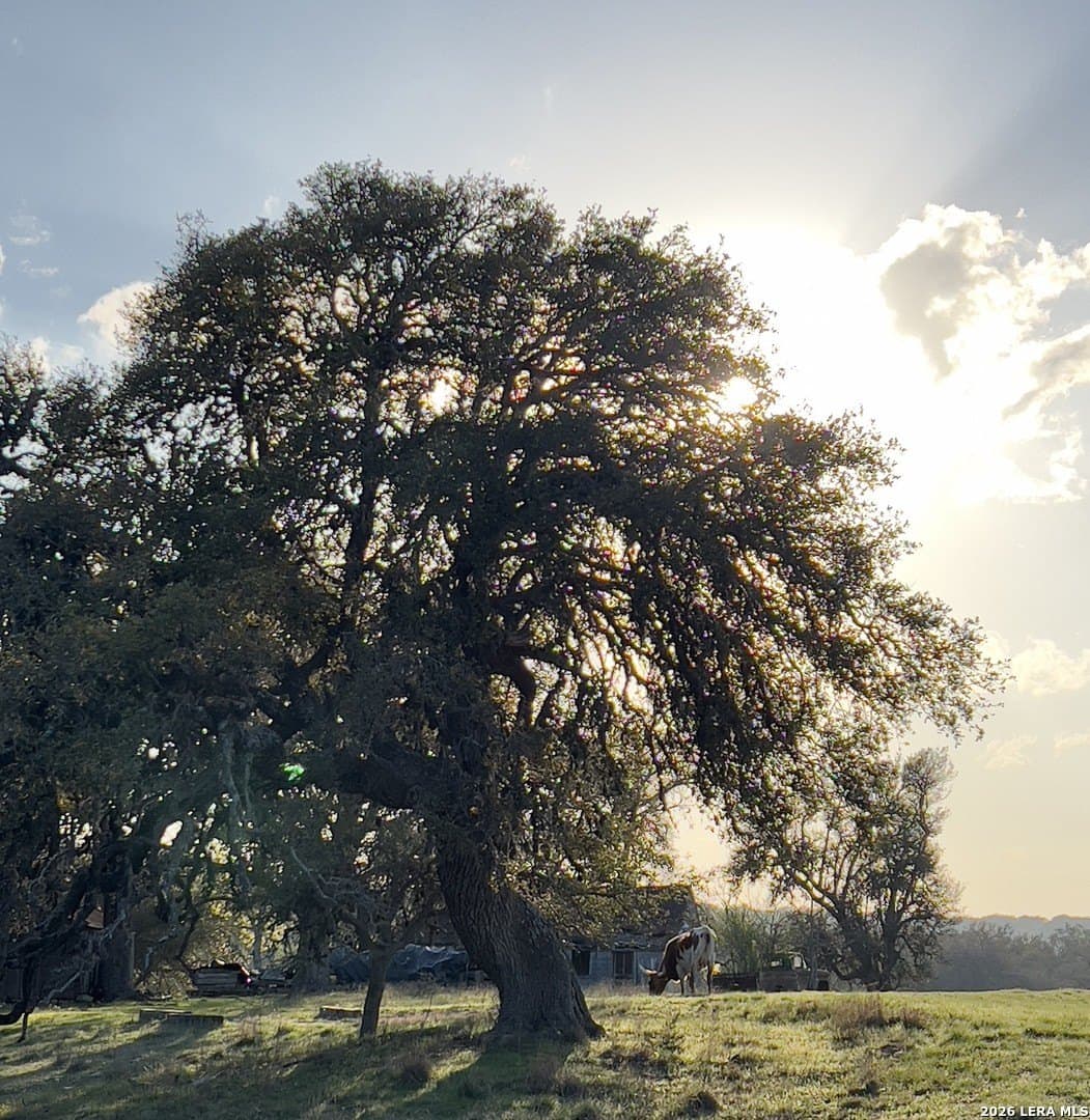 5.56 acres in Blanco County - photo 2