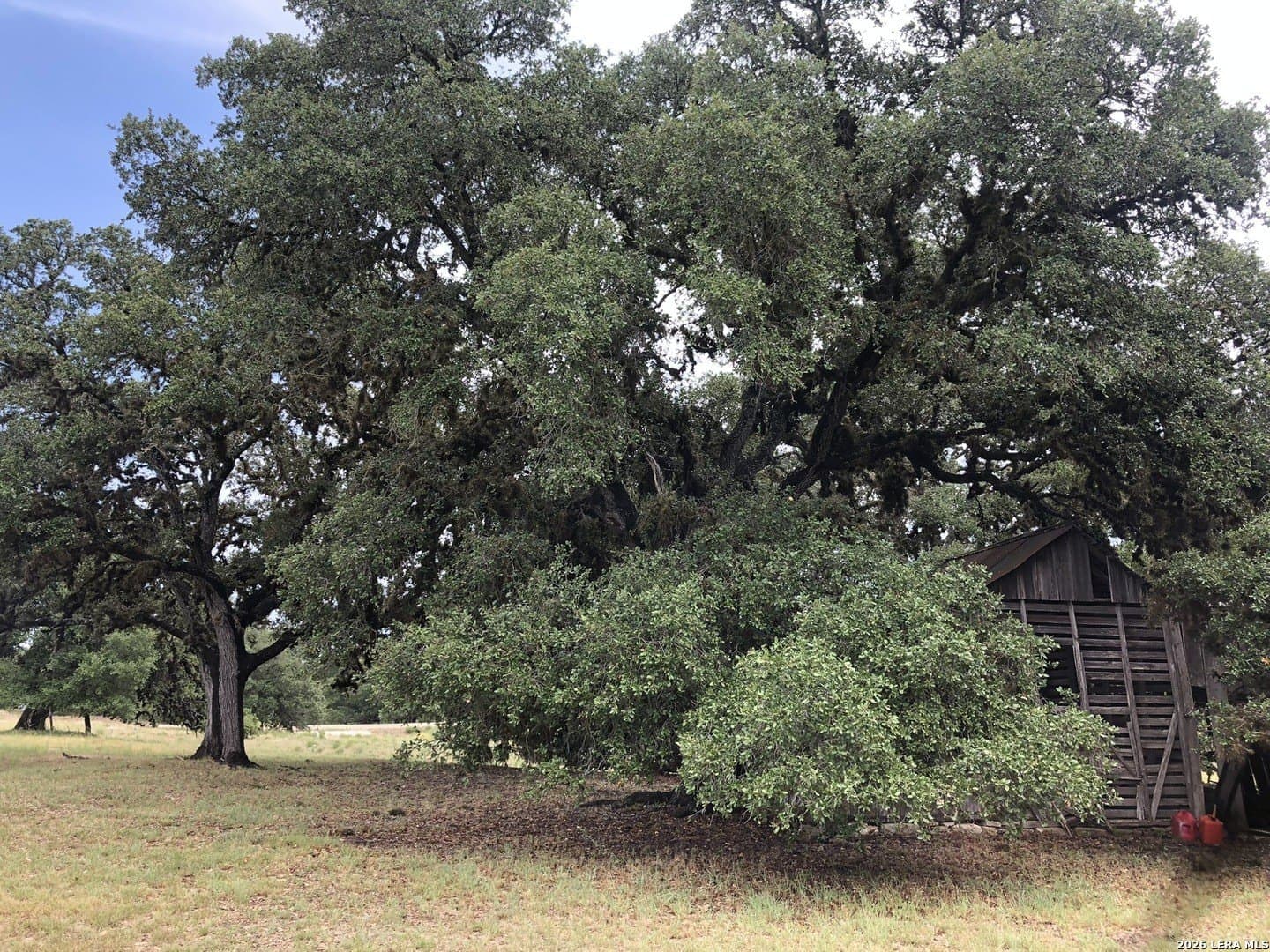 5.56 acres in Blanco County - photo 9