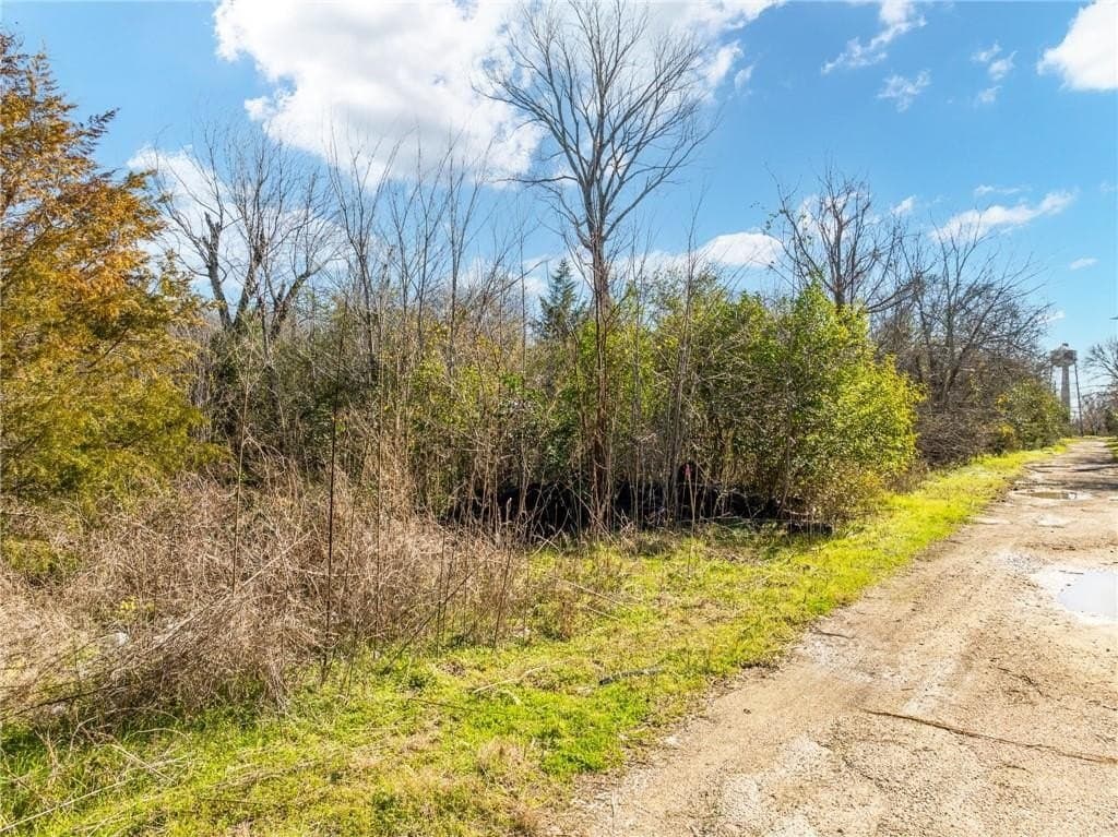 0.11 acres in McLennan County - photo 3