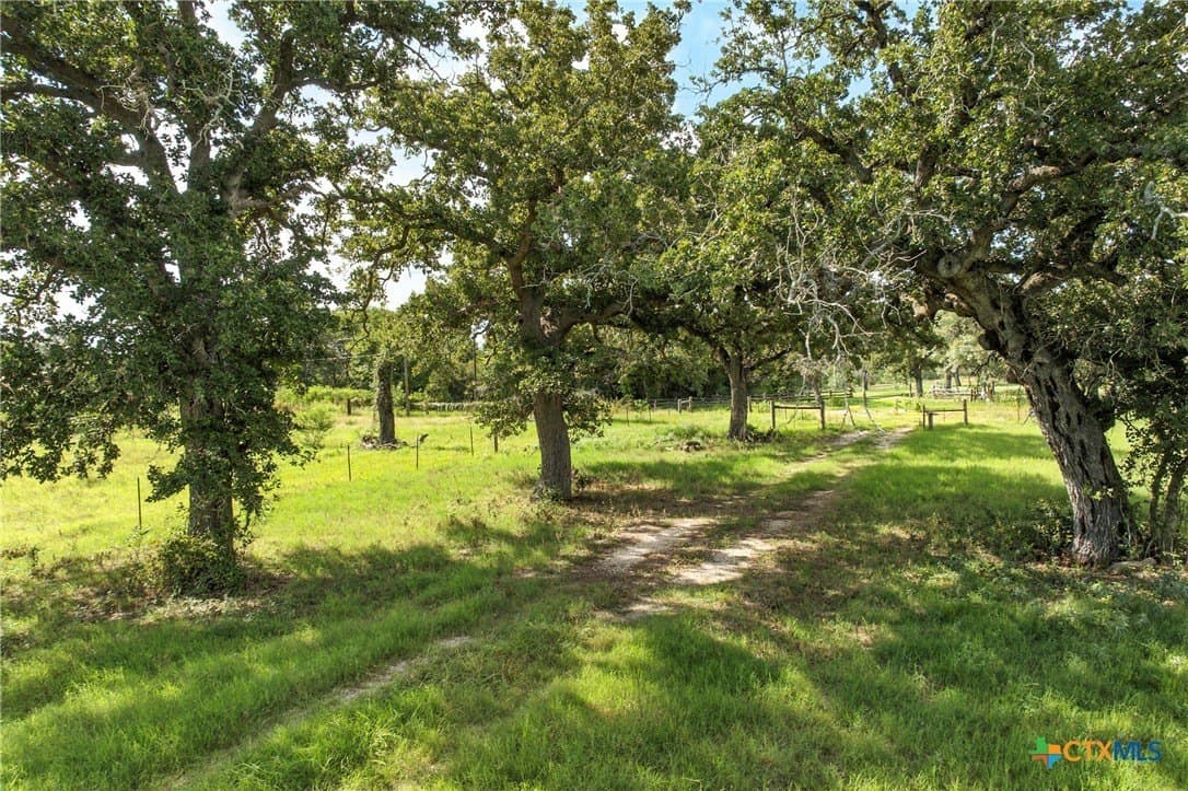42.33 acres in Gonzales County - photo 13