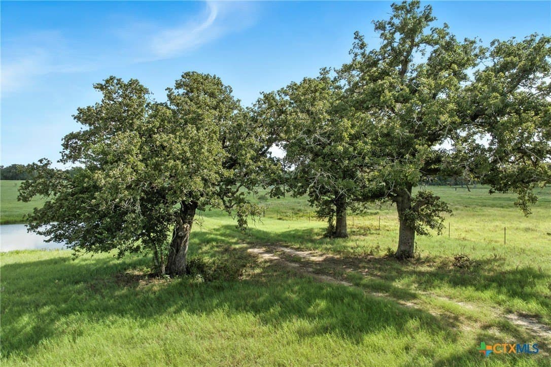 42.33 acres in Gonzales County - photo 11