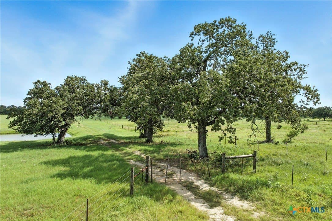 42.33 acres in Gonzales County - photo 2