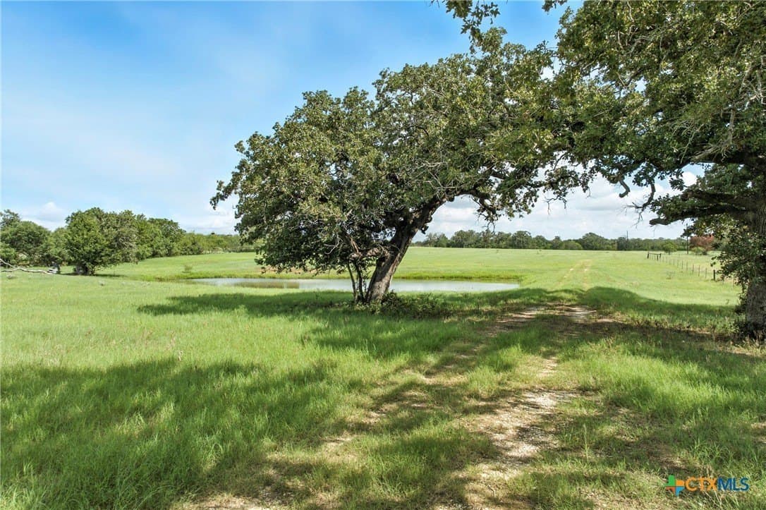 42.33 acres in Gonzales County - photo 6
