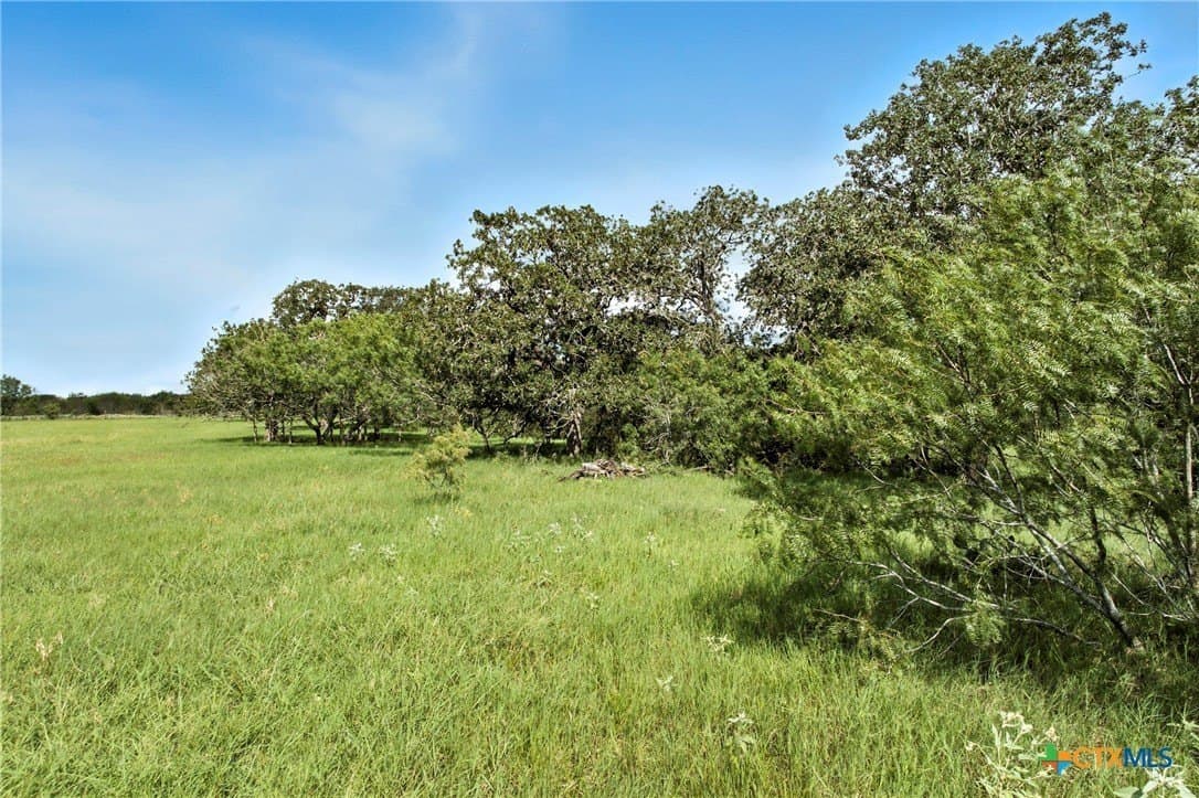 42.33 acres in Gonzales County - photo 19