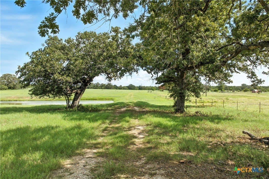 42.33 acres in Gonzales County - photo 5