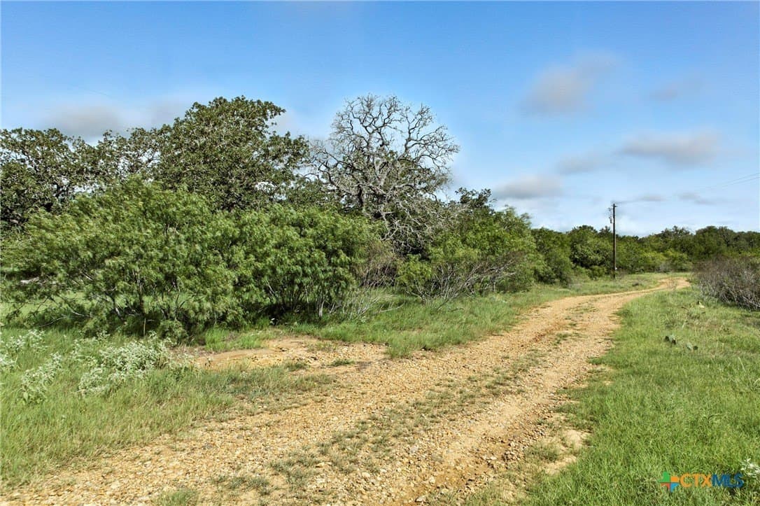 42.33 acres in Gonzales County - photo 18