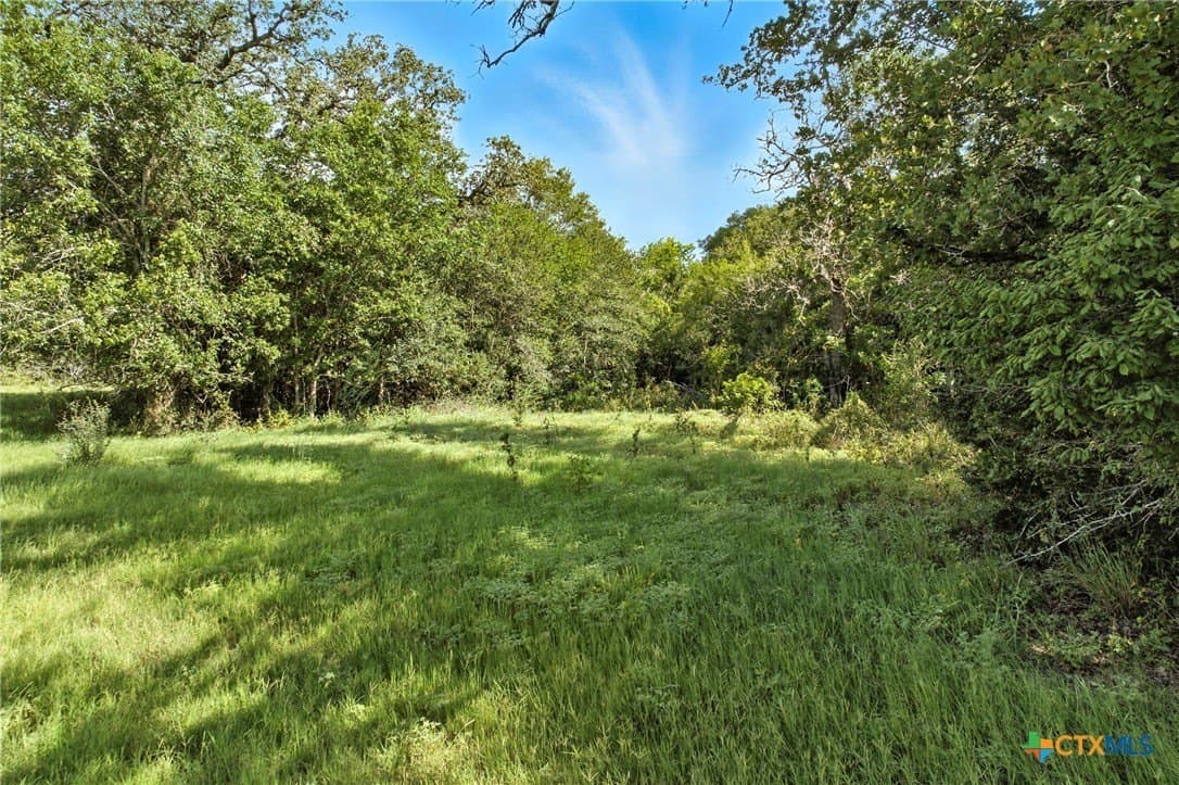 42.33 acres in Gonzales County - photo 24