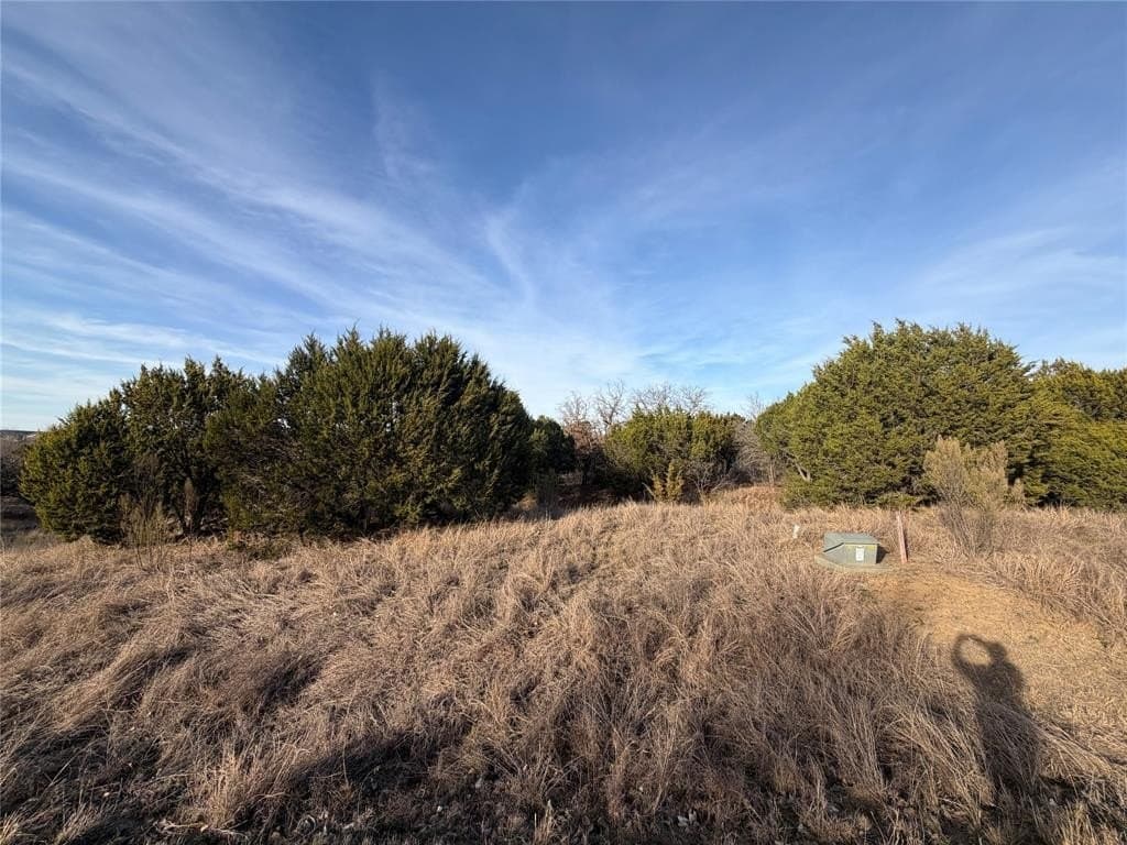 10 acres in Palo Pinto County - photo 14