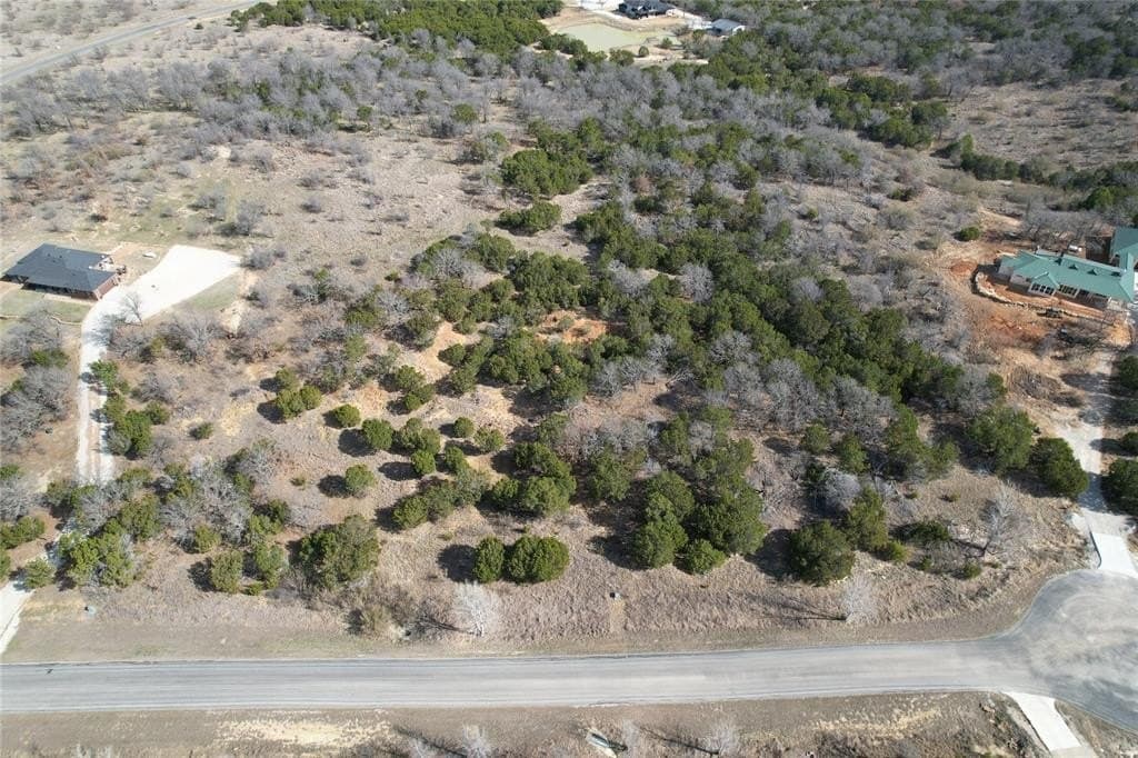 10 acres in Palo Pinto County - photo 4