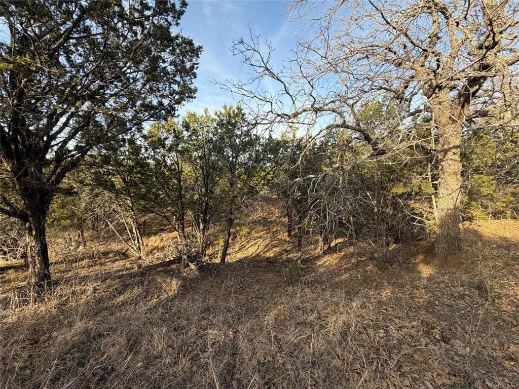 10 acres in Palo Pinto County - photo 9