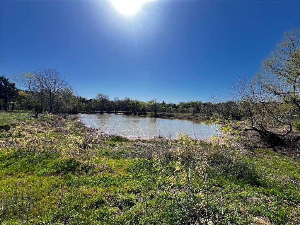 23.83 acres in Freestone County - photo 4